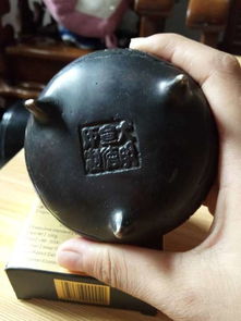 上海文物鑒定服務(wù)與活動(dòng)參與指南