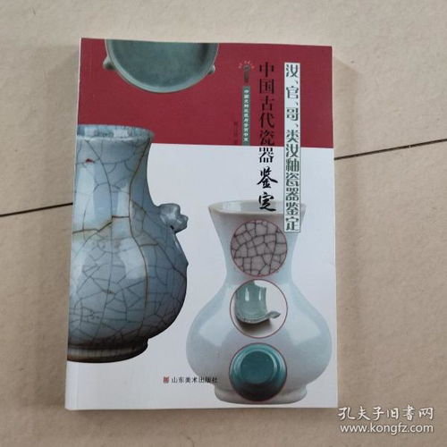 中國文物收藏與鑒賞書系 中國古代瓷器鑒定——汝、官、哥與類汝釉瓷器的鑒定與組織文物鑒定活動(dòng)的實(shí)踐