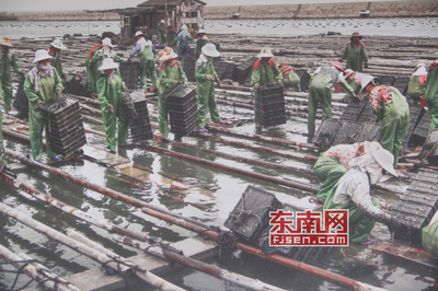 文脈傳承 莆田市第十個(gè)中國文化遺產(chǎn)日系列活動(dòng)今啟動(dòng)，專家坐鎮(zhèn)文物鑒定